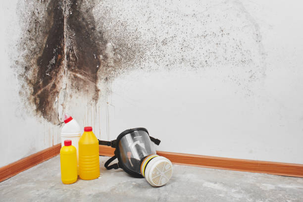 Best Crawl Space Mold Remediation in Breckenridge, TX
