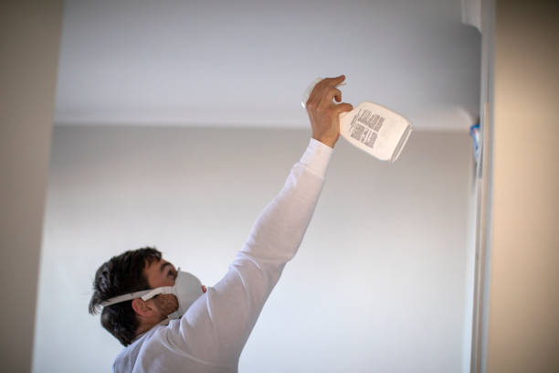 Best Mold Remediation for Specific Building Types in Breckenridge, TX