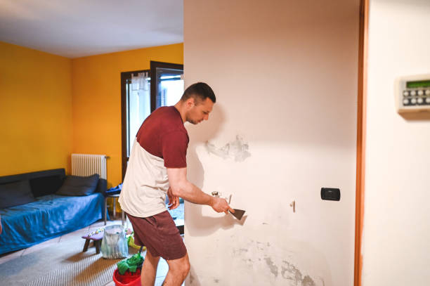Best Preventive Mold Services in Breckenridge, TX